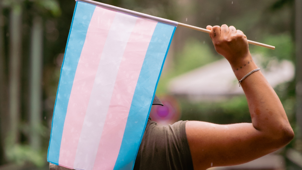 flaga osób transpłciowych